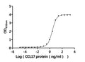 The Binding Activity of Human CCL17 with Anti-CCL17 recombinant antibodyActivity: Measured by its binding ability in a functional ELISA. Immobilized Anti-CCL17 recombinant antibody at 2 μg/mL can bind Human CCL17 protein (CSB-MP856406HU) . The EC<sub>50</sub> is 2.403-2.741 ng/mL.