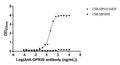 The Binding Activity of Macaca fascicularis GPR20 with Anti-GPR20 recombinant antibodyActivity: Measured by its binding ability in a functional ELISA. Immobilized Macaca fascicularis GPR20(CSB-MP5431MOV ) at 10 μg/mL can bind Anti-GPR20 recombinant antibody. The EC<sub>50</sub> is 3.549 - 6.542 ng/mL.