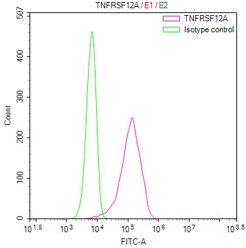Overlay Peak curve showing 786-O cells stained with CSB-RA873605MA2HU (red line) at 1:100. Then 10% normal goat serum to block non-specific protein-protein interactions followed by the antibody (1ug/1*10 6 cells) for 45min at 4℃. The secondary antibody used was Fluorescein (FITC) AffiniPure Goat Anti-Human IgG, Fcγ fragment specific at 1:200 dilution for 35min at 4℃.Control antibody (green line) was human IgG1 (1ug/1*10 6 cells) used under the same conditions. Acquisition of >10,000 events was performed.