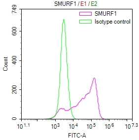 Overlay Peak curve showing A431 cells stained with CSB-RA875720MA1HU (red line) at 1:100. The cells were fixed in 4% formaldehyde and permeated by 0.2% TritonX-100 for 10min. Then 10% normal goat serum to block non-specific protein-protein interactions followed by the antibody (1ug/1*10 6 cells) for 45min at 4℃.