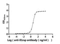 The Binding Activity of Mouse Il1rap with Anti-IL1RAP recombinant antibodyActivity: Measured by its binding ability in a functional ELISA. Immobilized Mouse Il1rap protein (CSB-MP730751MO) at 2 μg/mL can bind Anti-IL1RAP recombinant antibody. The EC<sub>50</sub> is 2.279-3.955 ng/mL.
