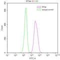 Overlay Peak curve showing A549 cells stained with CSB-RA878853MA1HU (red line) at 1:50. The cells were fixed in 4% formaldehyde and permeated by 0.2% TritonX-100. Then 10% normal goat serum to block non-specific protein-protein interactions followed by the antibody (1ug/1*10 6 cells) for 45min at 4℃. The secondary antibody used was FITC-conjugated Goat Anti-human IgG(H+L) at 1:200 dilution for 35min at 4℃.Control antibody (green line) was human IgG (1ug/1*10 6 cells) used under the same conditions.
