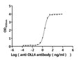 The Binding Activity of Human DLL4 with Anti-DLL4 Recombinant AntibodyActivity: Measured by its binding ability in a functional ELISA. Immobilized Human DLL4 (CSB-MP878862HU) at 2 μg/mL can bind Anti-DLL4 recombinant antibody . The EC<sub>50</sub> is 2.322-2.607 ng/mL.