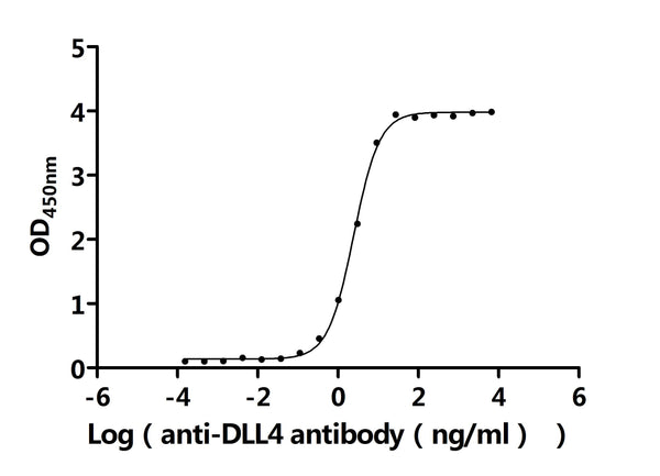 The Binding Activity of Human DLL4 with Anti-DLL4 Recombinant AntibodyActivity: Measured by its binding ability in a functional ELISA. Immobilized Human DLL4 (CSB-MP878862HU) at 2 μg/mL can bind Anti-DLL4 recombinant antibody . The EC<sub>50</sub> is 2.322-2.607 ng/mL.