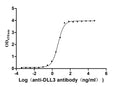The Binding Activity of Human DLL3 with Anti-DLL3 recombinant antibodyActivity: Measured by its binding ability in a functional ELISA. Immobilized Human DLL3 (CSB-MP882142HU2d7) at 2 μg/mL can bind Anti-DLL3 recombinant antibody. The EC<sub>50</sub> is 3.990-4.723 ng/mL.