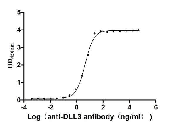 The Binding Activity of Human DLL3 with Anti-DLL3 recombinant antibodyActivity: Measured by its binding ability in a functional ELISA. Immobilized Human DLL3 (CSB-MP882142HU2d7) at 2 μg/mL can bind Anti-DLL3 recombinant antibody. The EC<sub>50</sub> is 3.990-4.723 ng/mL.
