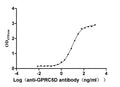 The Binding Activity of Huamn GPRC5D with Anti-GPRC5D recombinant Antibody
Activity: Measured by its binding ability in a functional ELISA. Immobilized Human GPRC5D(CSB-MP882153HU) at 5 μg/mL can bind Anti-GPRC5D recombinant antibody, the EC<sub>50</sub> is 8.847-10.38 ng/mL.