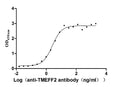 The Binding Activity of TMEFF2 with Anti-TMEFF2 monoclonal antibodyActivity: Measured by its binding ability in a functional ELISA. Immobilized Human TMEFF2 (CSB-MP883439HU) at 2 μg/mL can bind Anti-TMEFF2 recombinant antibody, the EC<sub>50</sub> is 2.129-2.956 ng/mL.