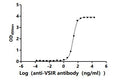 The Binding Activity of Human VSIR with Anti-VSIR Recombinant antibodyActivity: Measured by its binding ability in a functional ELISA. Immobilized Human VSIR (CSB-MP884484HU) at 2 μg/mL can bind Anti-VSIR recombinant antibody. The EC<sub>50</sub> is 20.84-22.73 ng/mL.