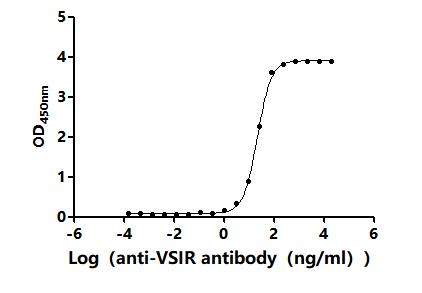 The Binding Activity of Human VSIR with Anti-VSIR Recombinant antibodyActivity: Measured by its binding ability in a functional ELISA. Immobilized Human VSIR (CSB-MP884484HU) at 2 μg/mL can bind Anti-VSIR recombinant antibody. The EC<sub>50</sub> is 20.84-22.73 ng/mL.