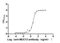 The Binding Activity of Human MUC13 with Anti-MUC13 recombinant antibodyActivity: Measured by its binding ability in a functional ELISA. Immobilized Human MUC13 (CSB-MP887973HU) at 2 μg/mL can bind Anti-MUC13 recombinant antibody. The EC<sub>50</sub> is 3.806-5.269 ng/mL.