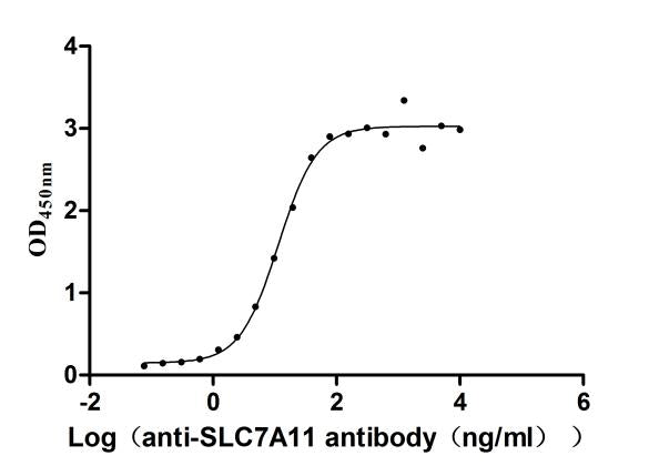 The Binding Activity of Human SLC7A11 with Anti-SLC7A11 recombinant antibodyActivity: Measured by its binding ability in a functional ELISA. Immobilized Human SLC7A11 (CSB-CF892171HU(A4) ) at 2 μg/mL can bind Anti-SLC7A11 recombinant antibody, the EC<sub>50</sub> is 9.452-13.79 ng/mL.