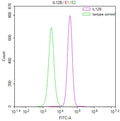 Overlay Peak curve showing A549 cells stained with CSB-RA895985A0HU (red line) at 1:50. The cells were fixed in 4% formaldehyde and permeated by 0.2% TritonX-100. Then 10% normal goat serum to block non-specific protein-protein interactions followed by the antibody (1µg/1*10 6 cells) for 45min at 4℃. The secondary antibody used was FITC-conjugated Goat Anti-rabbit IgG(H+L) at 1:200 dilution for 35min at 4℃.Control antibody (green line) was rabbit IgG (1µg/1*10 6 cells) used under the same conditions.