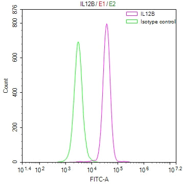 Overlay Peak curve showing A549 cells stained with CSB-RA895985A0HU (red line) at 1:50. The cells were fixed in 4% formaldehyde and permeated by 0.2% TritonX-100. Then 10% normal goat serum to block non-specific protein-protein interactions followed by the antibody (1µg/1*10 6 cells) for 45min at 4℃. The secondary antibody used was FITC-conjugated Goat Anti-rabbit IgG(H+L) at 1:200 dilution for 35min at 4℃.Control antibody (green line) was rabbit IgG (1µg/1*10 6 cells) used under the same conditions.