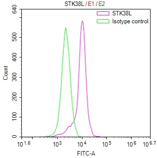 Overlay Peak curve showing HT29 cells stained with CSB-RA896491MA1HU (red line) at 1:100. The cells were fixed in 4% formaldehyde and permeated by 0.2% TritonX-100 for 10min. Then 10% normal goat serum to block non-specific protein-protein interactions followed by the antibody (1ug/1*10 6 cells) for 45min at 4℃.