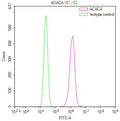 Overlay Peak curve showing PC-3 cells stained with CSB-RA903884A0HU (red line) at 1:100. The cells were fixed in 4% formaldehyde and permeated by 0.2% TritonX-100 for 10min. Then 10% normal goat serum to block non-specific protein-protein interactions followed by the antibody (1ug/1*10 6 cells) for 45min at 4℃.
