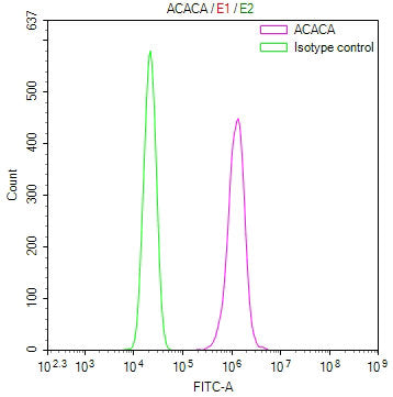 Overlay Peak curve showing PC-3 cells stained with CSB-RA903884A0HU (red line) at 1:100. The cells were fixed in 4% formaldehyde and permeated by 0.2% TritonX-100 for 10min. Then 10% normal goat serum to block non-specific protein-protein interactions followed by the antibody (1ug/1*10 6 cells) for 45min at 4℃.