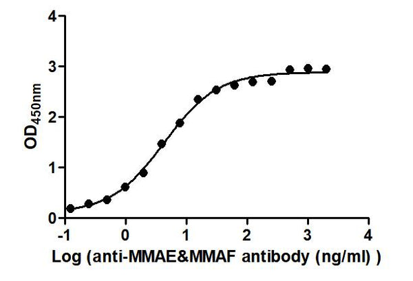 The Binding Activity of Disitamab vedotin (Synonyms: RC48) with Anti-MMAE&MMAF antibodyActivity: Measured by its binding ability in a functional ELISA. Immobilized Disitamab vedotin (Synonyms: RC48) at 2 μg/mL can bind Anti-MMAE&MMAF antibody, the EC<sub>50</sub> is 3.523 to 5.356 ng/mL.