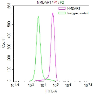 Overlay Peak curve showing SH-SY5Y cells stained with CSB-RA904344A0HU (red line) at 1:50. The cells were fixed in 4% formaldehyde and permeated by 0.2% TritonX-100. Then 10% normal goat serum to block non-specific protein-protein interactions followed by the antibody (1µg/1*10 6 cells) for 45min at 4℃. The secondary antibody used was FITC-conjugated Goat Anti-rabbit IgG(H+L) at 1:200 dilution for 35min at 4℃.Control antibody (green line) was rabbit IgG (1µg/1*10 6 cells) used under the same conditions.