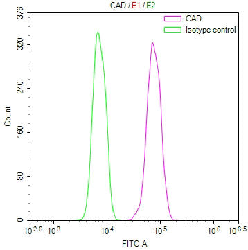 Overlay Peak curve showing Hela cells stained with CSB-RA909912A0HU (red line) at 1:100. The cells were fixed in 4% formaldehyde and permeated by 0.2% TritonX-100 for 10min. Then 10% normal goat serum to block non-specific protein-protein interactions followed by the antibody (1ug/1*10 6 cells) for 45min at 4℃.