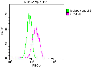 Overlay histogram showing Hela cells stained with CSB-RA914333A0HU (red line) at 1:50. The cells were fixed with 70% Ethylalcohol (18h) and then incubated in 10% normal goat serum to block non-specific protein-protein interactions followedby the antibody (1µg/1*10 6 cells) for 1 h at 4℃.The secondary antibody used was FITC-conjugated goat anti-rabbit IgG (H+L) at 1/200 dilution for 30min at 4℃. Control antibody (green line) was Rabbit IgG (1µg/1*10 6 cells) used under the same conditions.
