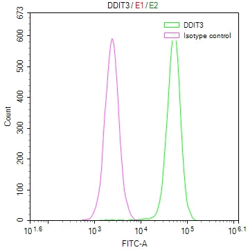 Overlay Peak curve showing Hela cells stained with CSB-RA918842A0HU (red line) at 1:50. The cells were fixed in 4% formaldehyde and permeated by 0.2% TritonX-100. Then 10% normal goat serum to block non-specific protein-protein interactions followed by the antibody (1µg/1*10 6 cells) for 45min at 4℃. The secondary antibody used was FITC-conjugated Goat Anti-rabbit IgG(H+L) at 1:200 dilution for 35min at 4℃.Control antibody (green line) was rabbit IgG (1µg/1*10 6 cells) used under the same conditions.
