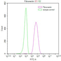 Overlay Peak curve showing 3T3 cells stained with CSB-RA919940A0HU (red line) at 1:50. The cells were fixed in 4% formaldehyde and permeated by 0.2% TritonX-100. Then 10% normal goat serum to block non-specific protein-protein interactions followed by the antibody (1µg/1*10 6 cells) for 45min at 4℃. The secondary antibody used was FITC-conjugated Goat Anti-rabbit IgG(H+L) at 1:200 dilution for 35min at 4℃.Control antibody (green line) was rabbit IgG (1µg/1*10 6 cells) used under the same conditions.