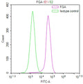 Overlay Peak curve showing HepG2 cells stained with CSB-RA928446A0HU (red line) at 1:100. The cells were fixed in 4% formaldehyde and permeated by 0.2% TritonX-100 for 10min. Then 10% normal goat serum to block non-specific protein-protein interactions followed by the antibody (1ug/1*10 6 cells) for 45min at 4℃.