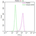 Overlay Peak curve showing MCF-7 cells stained with CSB-RA940814A0HU (red line) at 1:100. The cells were fixed in 4% formaldehyde and permeated by 0.2% TritonX-100 for 10min. Then 10% normal goat serum to block non-specific protein-protein interactions followed by the antibody (1ug/1*10 6 cells) for 45min at 4℃.