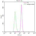 Overlay Peak curve showing K562 cells stained with CSB-RA941719A0HU (red line) at 1:100. The cells were fixed in 4% formaldehyde and permeated by 0.2% TritonX-100 for 10min. Then 10% normal goat serum to block non-specific protein-protein interactions followed by the antibody (1ug/1*10 6 cells) for 45min at 4℃.