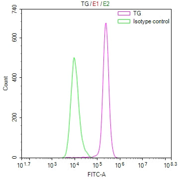 Overlay Peak curve showing K562 cells stained with CSB-RA941719A0HU (red line) at 1:100. The cells were fixed in 4% formaldehyde and permeated by 0.2% TritonX-100 for 10min. Then 10% normal goat serum to block non-specific protein-protein interactions followed by the antibody (1ug/1*10 6 cells) for 45min at 4℃.