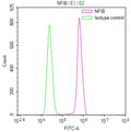 Overlay Peak curve showing Hela cells stained with CSB-RA942870A0HU (red line) at 1:100. The cells were fixed in 4% formaldehyde and permeated by 0.2% TritonX-100 for 10min. Then 10% normal goat serum to block non-specific protein-protein interactions followed by the antibody (1ug/1*10 6 cells) for 45min at 4℃.