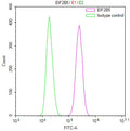 Overlay Peak curve showing Hela cells stained with CSB-RA945280A0HU (red line) at 1:100. The cells were fixed in 4% formaldehyde and permeated by 0.2% TritonX-100 for 10min. Then 10% normal goat serum to block non-specific protein-protein interactions followed by the antibody (1ug/1*10 6 cells) for 45min at 4℃.
