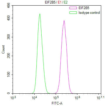 Overlay Peak curve showing Hela cells stained with CSB-RA945280A0HU (red line) at 1:100. The cells were fixed in 4% formaldehyde and permeated by 0.2% TritonX-100 for 10min. Then 10% normal goat serum to block non-specific protein-protein interactions followed by the antibody (1ug/1*10 6 cells) for 45min at 4℃.