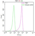 Overlay Peak curve showing jurkat cells stained with CSB-RA949891A0HU (red line) at 1:100. The cells were fixed in 4% formaldehyde and permeated by 0.2% TritonX-100 for 10min. Then 10% normal goat serum to block non-specific protein-protein interactions followed by the antibody (1ug/1*10 6 cells) for 45min at 4℃.