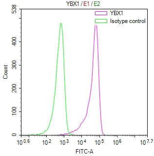 Overlay Peak curve showing jurkat cells stained with CSB-RA949891A0HU (red line) at 1:100. The cells were fixed in 4% formaldehyde and permeated by 0.2% TritonX-100 for 10min. Then 10% normal goat serum to block non-specific protein-protein interactions followed by the antibody (1ug/1*10 6 cells) for 45min at 4℃.