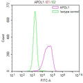 Overlay Peak curve showing HepG2 cells stained with CSB-RA966671A0HU (red line) at 1:50. The cells were fixed in 4% formaldehyde and permeated by 0.2% TritonX-100. Then 10% normal goat serum to block non-specific protein-protein interactions followed by the antibody (1µg/1*10 6 cells) for 45min at 4℃. The secondary antibody used was FITC-conjugated Goat Anti-rabbit IgG(H+L) at 1:200 dilution for 35min at 4℃.Control antibody (green line) was rabbit IgG (1µg/1*10 6 cells) used under the same conditions.