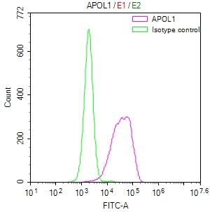 Overlay Peak curve showing HepG2 cells stained with CSB-RA966671A0HU (red line) at 1:50. The cells were fixed in 4% formaldehyde and permeated by 0.2% TritonX-100. Then 10% normal goat serum to block non-specific protein-protein interactions followed by the antibody (1µg/1*10 6 cells) for 45min at 4℃. The secondary antibody used was FITC-conjugated Goat Anti-rabbit IgG(H+L) at 1:200 dilution for 35min at 4℃.Control antibody (green line) was rabbit IgG (1µg/1*10 6 cells) used under the same conditions.