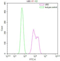 Overlay Peak curve showing 786-O cells stained with CSB-RA967988A0HU (red line) at 1:100. The cells were fixed in 4% formaldehyde and permeated by 0.2% TritonX-100 for 10min. Then 10% normal goat serum to block non-specific protein-protein interactions followed by the antibody (1ug/1*10 6 cells) for 45min at 4℃.