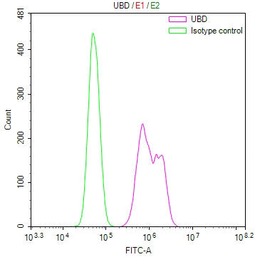 Overlay Peak curve showing 786-O cells stained with CSB-RA967988A0HU (red line) at 1:100. The cells were fixed in 4% formaldehyde and permeated by 0.2% TritonX-100 for 10min. Then 10% normal goat serum to block non-specific protein-protein interactions followed by the antibody (1ug/1*10 6 cells) for 45min at 4℃.