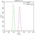 Overlay Peak curve showing K562 cells stained with CSB-RA968730A0HU (red line) at 1:100. The cells were fixed in 4% formaldehyde and permeated by 0.2% TritonX-100 for 10min. Then 10% normal goat serum to block non-specific protein-protein interactions followed by the antibody (1ug/1*10 6 cells) for 45min at 4℃.