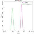 Overlay Peak curve showing Hela cells stained with CSB-RA972223A0HU (red line) at 1:100. The cells were fixed in 4% formaldehyde and permeated by 0.2% TritonX-100 for 10min. Then 10% normal goat serum to block non-specific protein-protein interactions followed by the antibody (1ug/1*10 6 cells) for 45min at 4℃.
