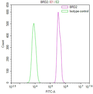 Overlay Peak curve showing Hela cells stained with CSB-RA972223A0HU (red line) at 1:100. The cells were fixed in 4% formaldehyde and permeated by 0.2% TritonX-100 for 10min. Then 10% normal goat serum to block non-specific protein-protein interactions followed by the antibody (1ug/1*10 6 cells) for 45min at 4℃.