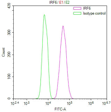 Overlay Peak curve showing Hela cells stained with CSB-RA975916A0HU (red line) at 1:100. The cells were fixed in 4% formaldehyde and permeated by 0.2% TritonX-100 for 10min. Then 10% normal goat serum to block non-specific protein-protein interactions followed by the antibody (1ug/1*10 6 cells) for 45min at 4℃.