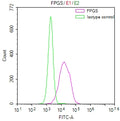 Overlay Peak curve showing HepG2 cells stained with CSB-RA983477A0HU (red line) at 1:50. The cells were fixed in 4% formaldehyde and permeated by 0.2% TritonX-100. Then 10% normal goat serum to block non-specific protein-protein interactions followed by the antibody (1µg/1*10 6 cells) for 45min at 4℃. The secondary antibody used was FITC-conjugated Goat Anti-rabbit IgG(H+L) at 1:200 dilution for 35min at 4℃.Control antibody (green line) was rabbit IgG (1µg/1*10 6 cells) used under the same conditions.