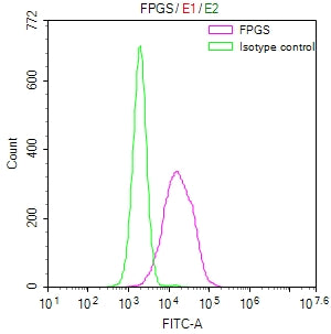 Overlay Peak curve showing HepG2 cells stained with CSB-RA983477A0HU (red line) at 1:50. The cells were fixed in 4% formaldehyde and permeated by 0.2% TritonX-100. Then 10% normal goat serum to block non-specific protein-protein interactions followed by the antibody (1µg/1*10 6 cells) for 45min at 4℃. The secondary antibody used was FITC-conjugated Goat Anti-rabbit IgG(H+L) at 1:200 dilution for 35min at 4℃.Control antibody (green line) was rabbit IgG (1µg/1*10 6 cells) used under the same conditions.