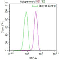 Overlay Peak curve showing A549 cells stained with CSB-RA984883A0HU (red line) at 1:100. The cells were fixed in 4% formaldehyde (15min) and permeated by 0.2% TritonX-100 for 10min. Then 10% normal goat serum to block non-specific protein-protein interactions followed by the antibody (1ug/1*10 6 cells) for 45min at 4℃.