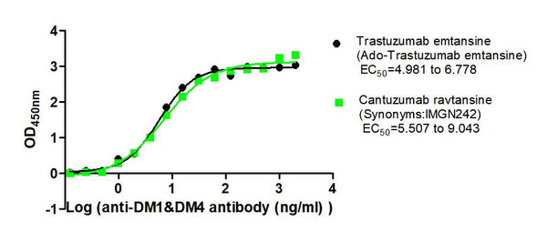 The Binding Activity of Trastuzumab emtansine (Ado-Trastuzumab emtansine) and Cantuzumab ravtansine (Synonyms:IMGN242) with Anti-DM1&DM4 antibodyActivity: Measured by its binding ability in a functional ELISA. Immobilized Trastuzumab emtansine (Ado-Trastuzumab emtansine) and Cantuzumab ravtansine (Synonyms:IMGN242) at 2 μg/mL can bind Anti-DM1&DM4 antibody, the EC<sub>50</sub> is 4.981 to 6.7789 ng/mL and 5.507 to 9.043 ng/mL, respectively.