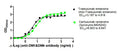 The Binding Activity of Trastuzumab emtansine (Ado-Trastuzumab emtansine) and Cantuzumab ravtansine (Synonyms:IMGN242) with Anti-DM1&DM4 antibodyActivity: Measured by its binding ability in a functional ELISA. Immobilized Trastuzumab emtansine (Ado-Trastuzumab emtansine) and Cantuzumab ravtansine (Synonyms:IMGN242) at 2 μg/mL can bind Anti-DM1&DM4 antibody, the EC<sub>50</sub> is 3.187 to 4.918 ng/mL and 6.903 to 8.647 ng/mL, respectively.