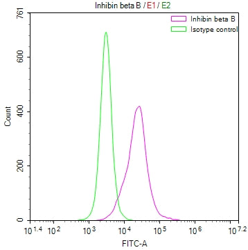 Overlay Peak curve showing A549 cells stained with CSB-RA990624A0HU (red line) at 1:50. The cells were fixed in 4% formaldehyde and permeated by 0.2% TritonX-100. Then 10% normal goat serum to block non-specific protein-protein interactions followed by the antibody (1µg/1*10 6 cells) for 45min at 4℃. The secondary antibody used was FITC-conjugated Goat Anti-rabbit IgG(H+L) at 1:200 dilution for 35min at 4℃.Control antibody (green line) was rabbit IgG (1µg/1*10 6 cells) used under the same conditions.
